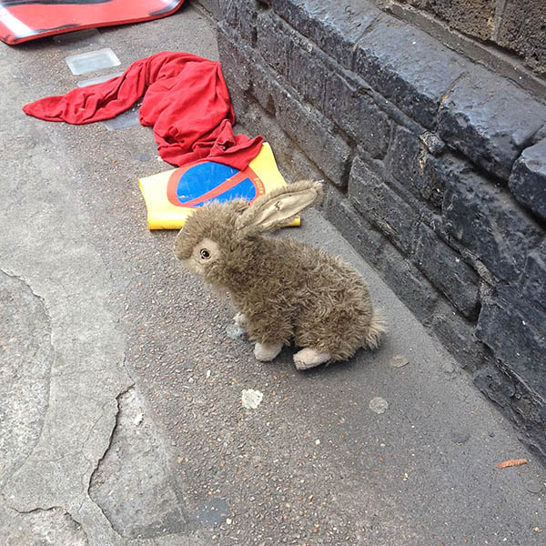 Abandoned, Unwanted, Unloved, cuddly toy - Cuddly bunny rabbit, sitting on the pavement next to some rubbish
