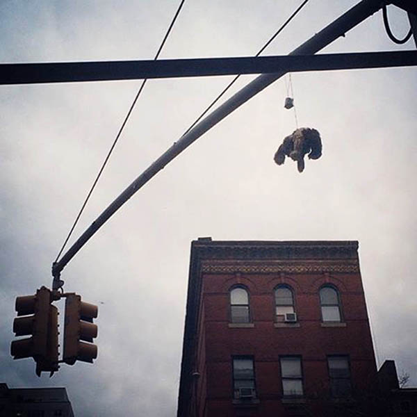 Abandoned, unwanted, unloved, cuddly toy - Cuddly bunny, hanging off a traffic light pole