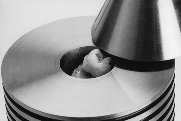 Steel container containing tooth