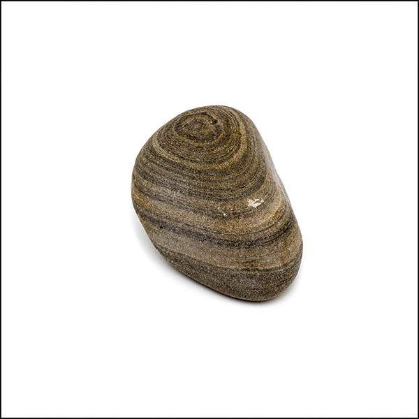 Pebble - uneven oval, light and dark brown multiple circular stripes