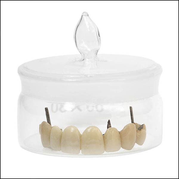 Tooth bridge in glass pot - part of tooth collection