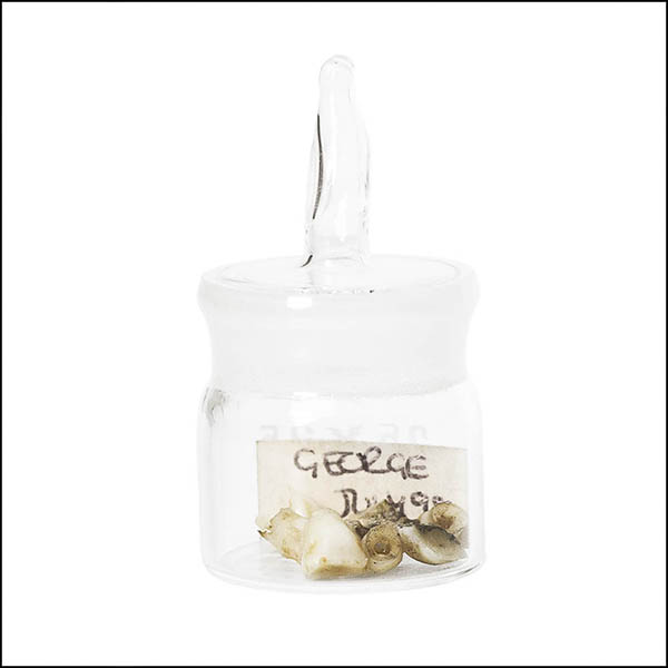 Teeth in glass pot - part of tooth collection