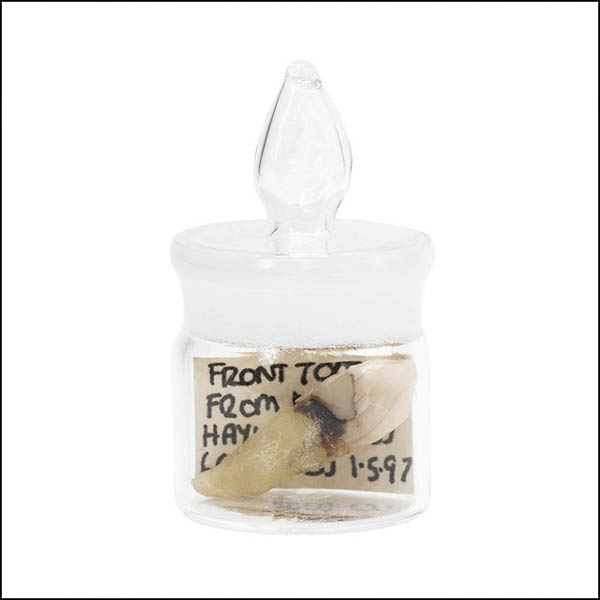 Front tooth in glass pot - part of tooth collection