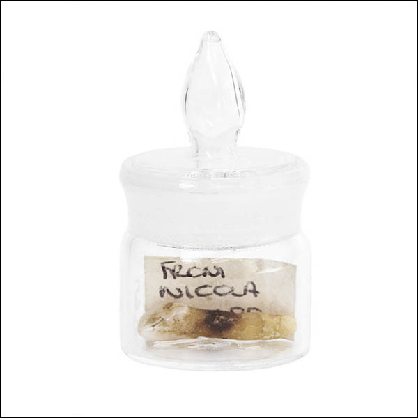 Front tooth in glass pot - part of tooth collection