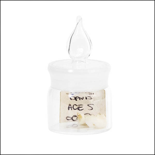 Baby teeth in glass pot - part of tooth collection