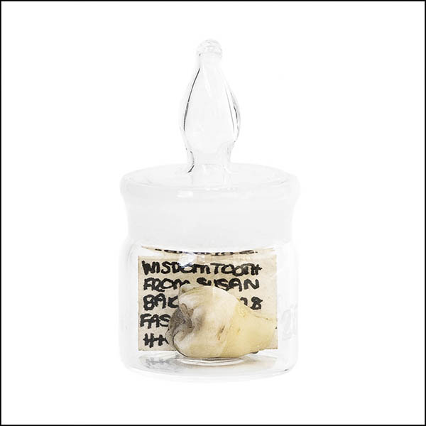 Wisdom tooth in glass pot - part of tooth collection