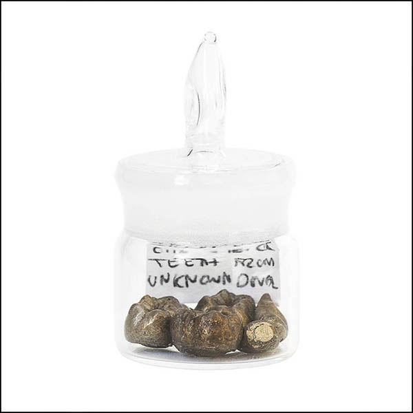 Cast silver teeth in glass pot - part of tooth collection