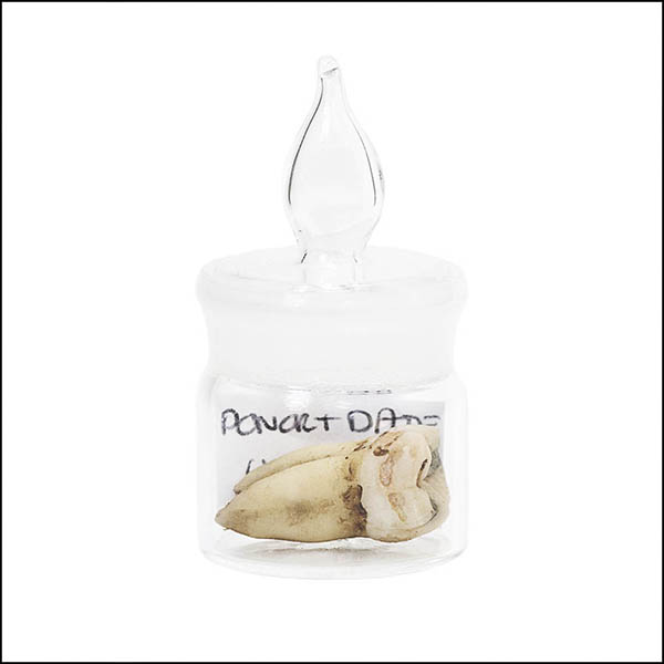 Tooth in glass pot - part of tooth collection