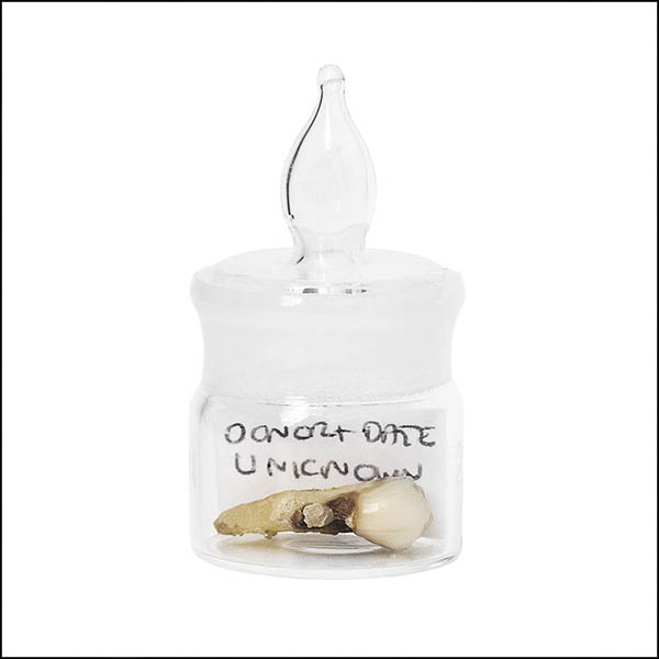 Tooth in glass pot - part of tooth collection