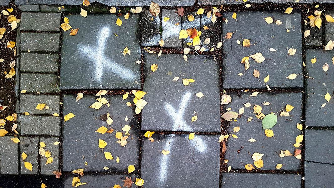 Pavement markings - spray painted squiggles on paving stones - Three white X's covered in a scattering of tiny leaves