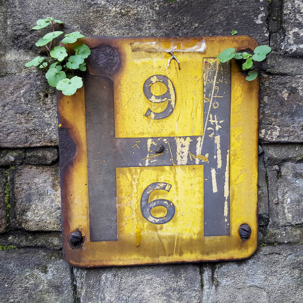 Weeds growing from yellow hydrant sign on brick wall